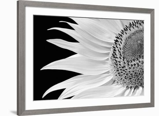 Dynamic Flower-Markus Lange-Framed Giclee Print