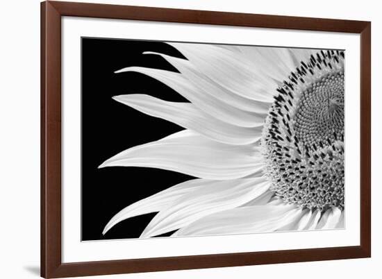 Dynamic Flower-Markus Lange-Framed Giclee Print