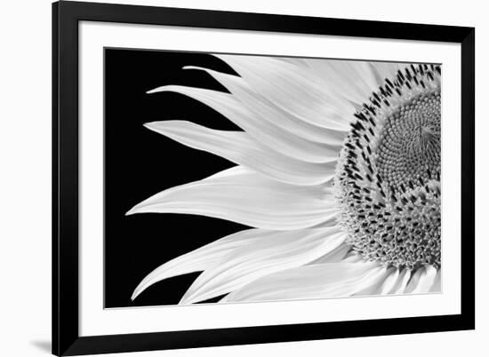 Dynamic Flower-Markus Lange-Framed Giclee Print