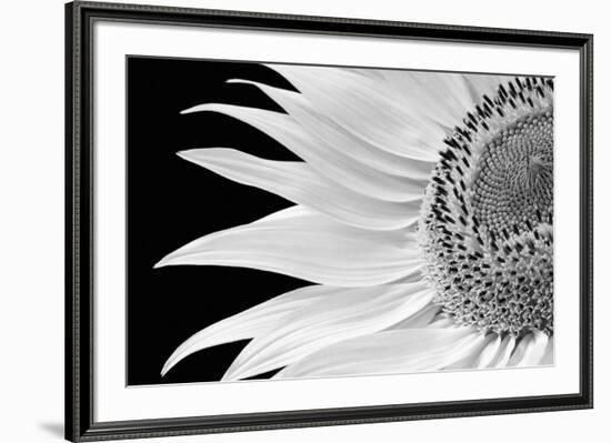 Dynamic Flower-Markus Lange-Framed Giclee Print