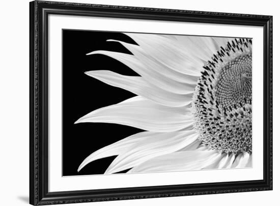 Dynamic Flower-Markus Lange-Framed Giclee Print