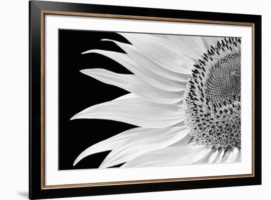 Dynamic Flower-Markus Lange-Framed Giclee Print