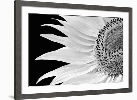 Dynamic Flower-Markus Lange-Framed Giclee Print