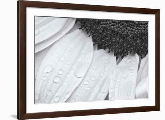 Dynamic Focus-Markus Lange-Framed Giclee Print