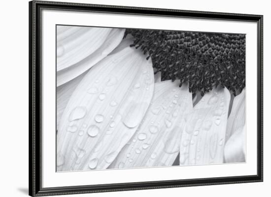 Dynamic Focus-Markus Lange-Framed Giclee Print