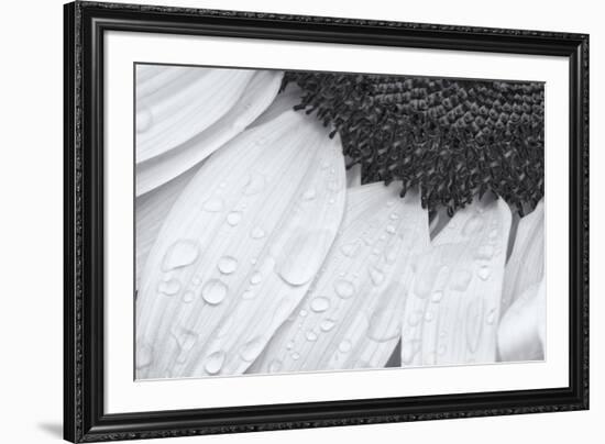 Dynamic Focus-Markus Lange-Framed Giclee Print