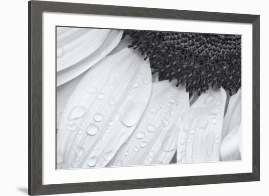 Dynamic Focus-Markus Lange-Framed Giclee Print