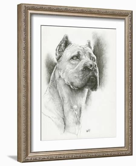 Dynamic-Barbara Keith-Framed Giclee Print