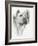 Dynamic-Barbara Keith-Framed Giclee Print