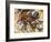 Dynamism of a Cyclist, 1913-Umberto Boccioni-Framed Giclee Print