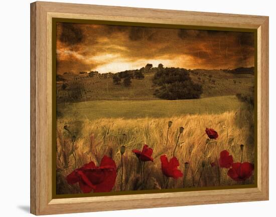 Dynazz-Fabio Panichi-Framed Premier Image Canvas