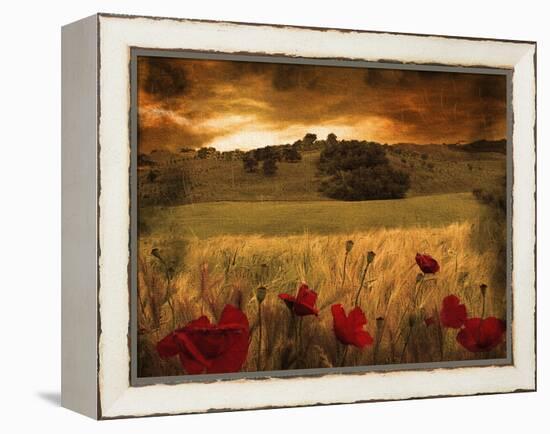 Dynazz-Fabio Panichi-Framed Premier Image Canvas