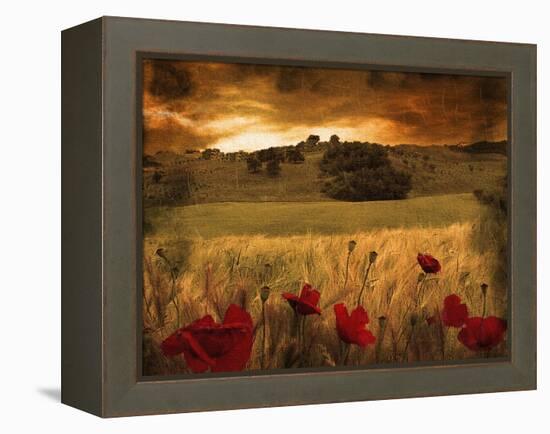 Dynazz-Fabio Panichi-Framed Premier Image Canvas