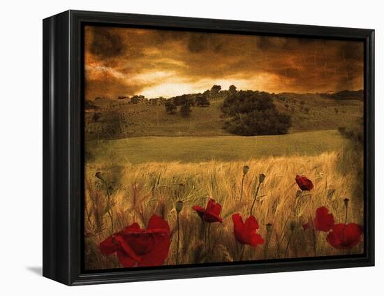 Dynazz-Fabio Panichi-Framed Premier Image Canvas