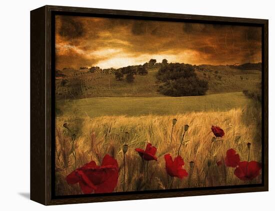 Dynazz-Fabio Panichi-Framed Premier Image Canvas