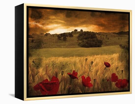 Dynazz-Fabio Panichi-Framed Premier Image Canvas