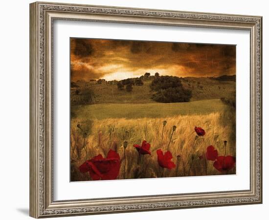 Dynazz-Fabio Panichi-Framed Premium Photographic Print