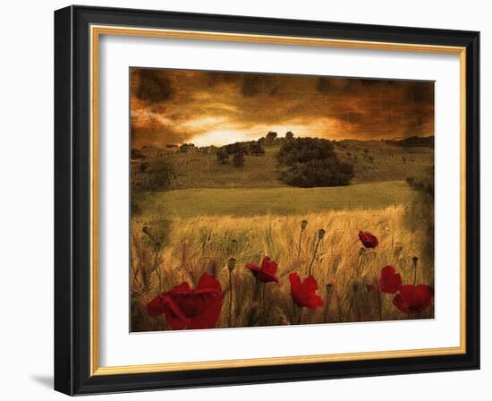 Dynazz-Fabio Panichi-Framed Premium Photographic Print