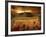 Dynazz-Fabio Panichi-Framed Premium Photographic Print