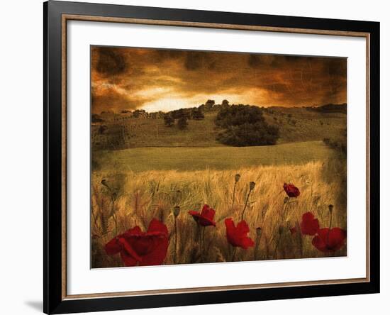 Dynazz-Fabio Panichi-Framed Premium Photographic Print