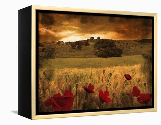 Dynazz-Fabio Panichi-Framed Premier Image Canvas