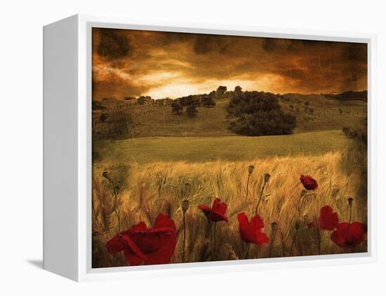 Dynazz-Fabio Panichi-Framed Premier Image Canvas