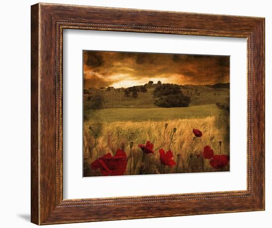 Dynazz-Fabio Panichi-Framed Photographic Print