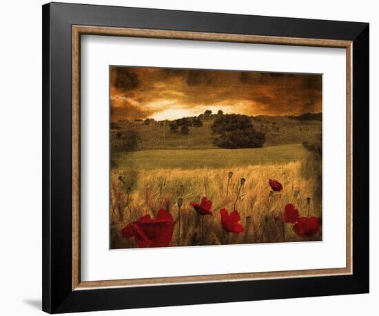 Dynazz-Fabio Panichi-Framed Photographic Print