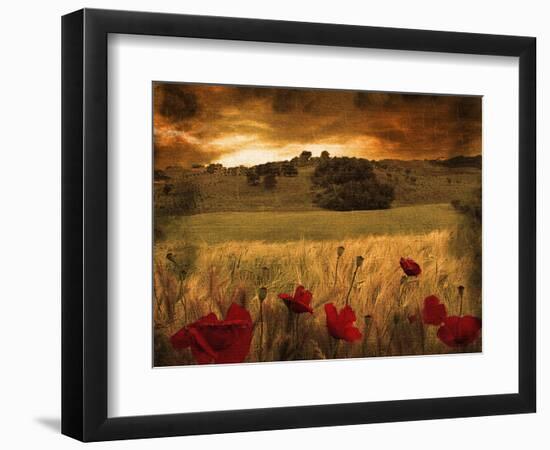 Dynazz-Fabio Panichi-Framed Photographic Print