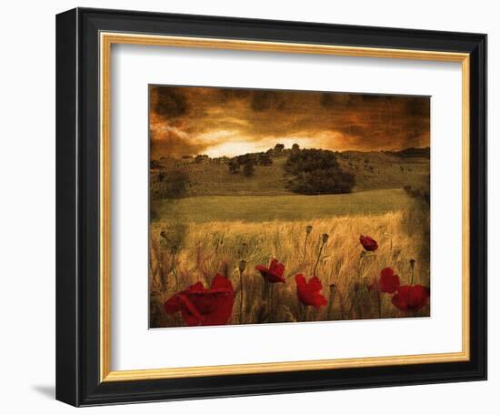 Dynazz-Fabio Panichi-Framed Photographic Print