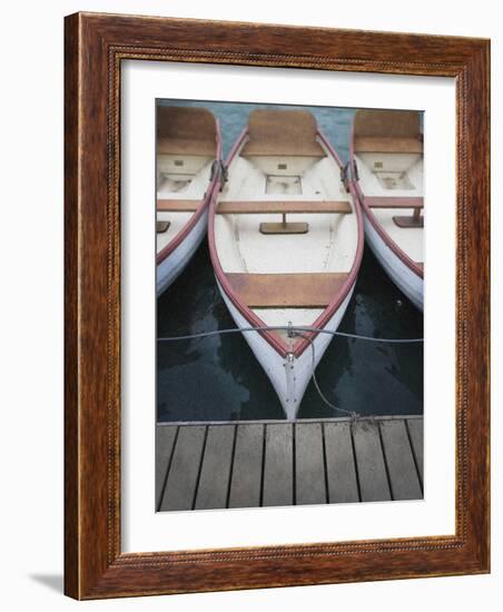 Dynazzy-Craig Satterlee-Framed Photographic Print