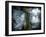 Dystopia, Conceptual Artwork-Victor Habbick-Framed Photographic Print