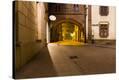 Stretched Canvas Print