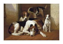 Foxhounds And A Terrier-E^a^s^ Douglas-Framed Premium Giclee Print