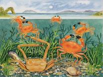 Crabs in the Ocean, 1997-E.B. Watts-Giclee Print