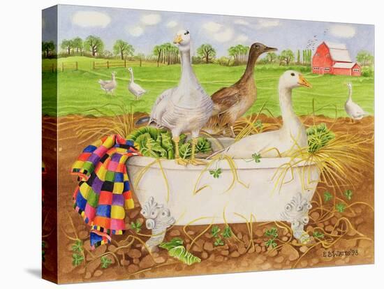 Stretched Canvas Print, , large