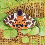 Tiger Moth, 1999-E.B. Watts-Giclee Print