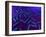 E Coli Bacteria, Artwork-SCIEPRO-Framed Photographic Print