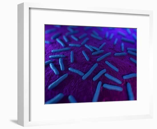 E Coli Bacteria, Artwork-SCIEPRO-Framed Photographic Print