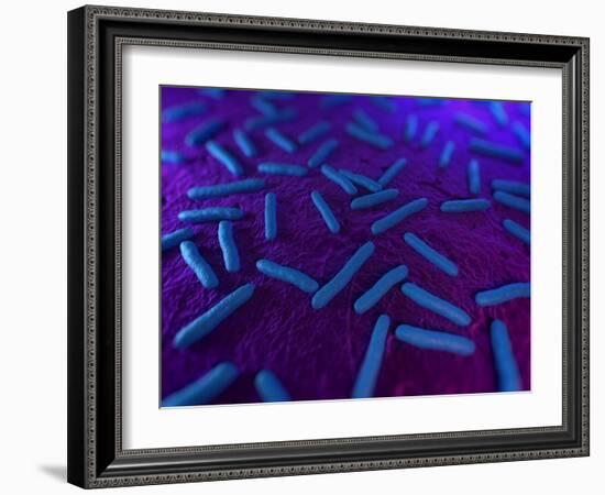 E Coli Bacteria, Artwork-SCIEPRO-Framed Photographic Print