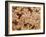 E. Coli Bacteria, SEM-Steve Gschmeissner-Framed Photographic Print