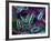 E. Coli Bacteria-David Mack-Framed Photographic Print