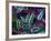 E. Coli Bacteria-David Mack-Framed Photographic Print