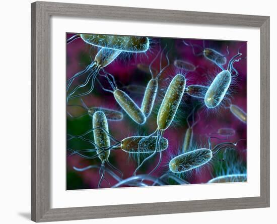 E. Coli Bacteria-David Mack-Framed Photographic Print