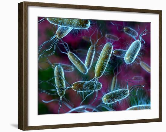 E. Coli Bacteria-David Mack-Framed Photographic Print