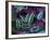 E. Coli Bacteria-David Mack-Framed Photographic Print