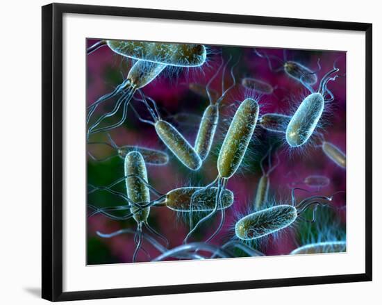 E. Coli Bacteria-David Mack-Framed Photographic Print