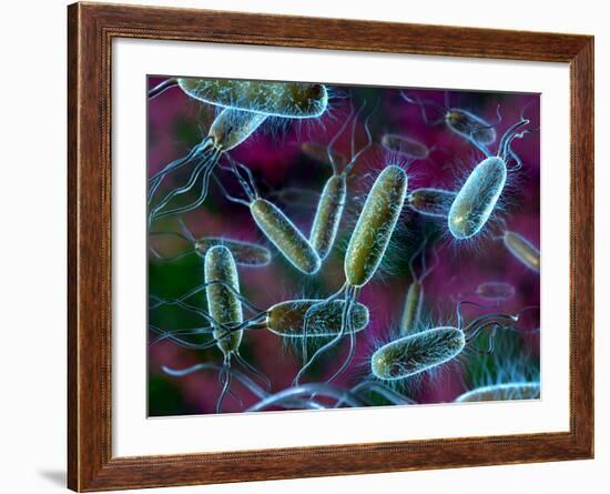 E. Coli Bacteria-David Mack-Framed Photographic Print