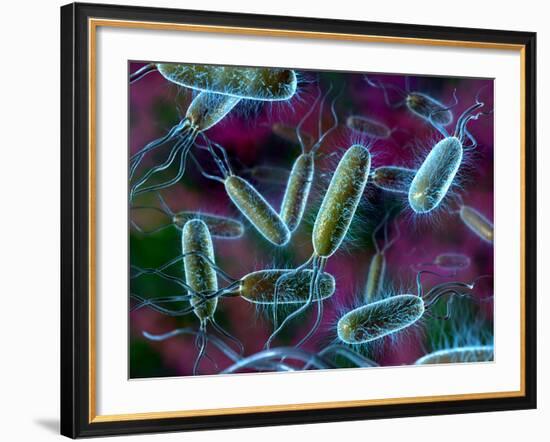 E. Coli Bacteria-David Mack-Framed Photographic Print