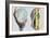 E. Coli Food Poisoning-Tim Vernon-Framed Photographic Print